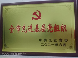 2021年全市先進基層黨組織