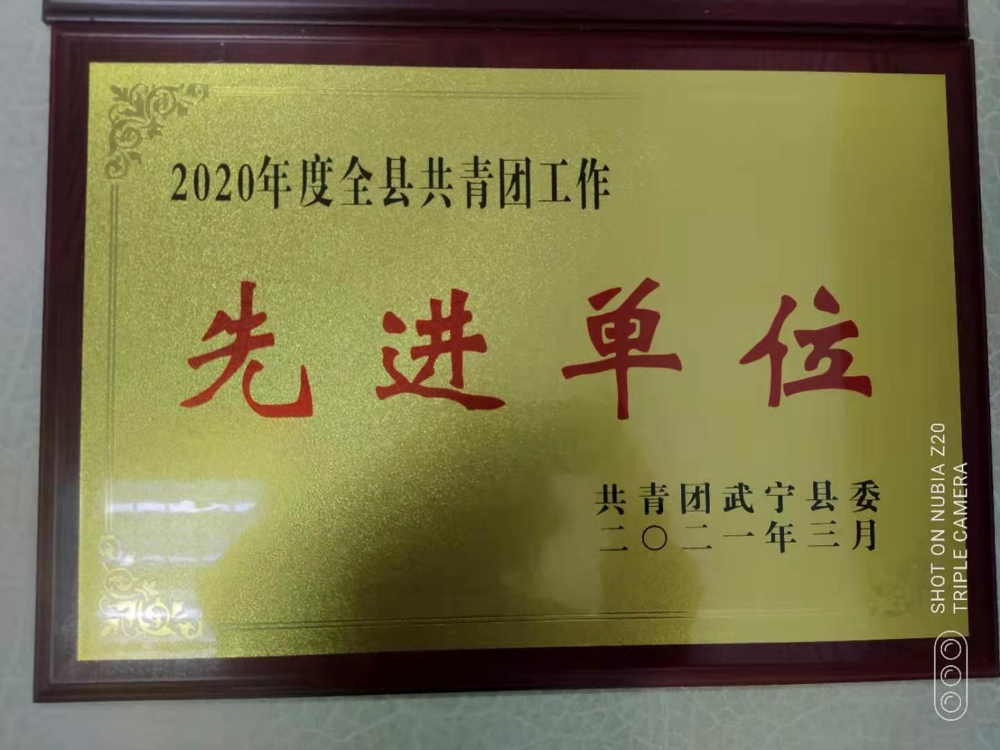 2020年全（quán）縣共青團工作先進單位