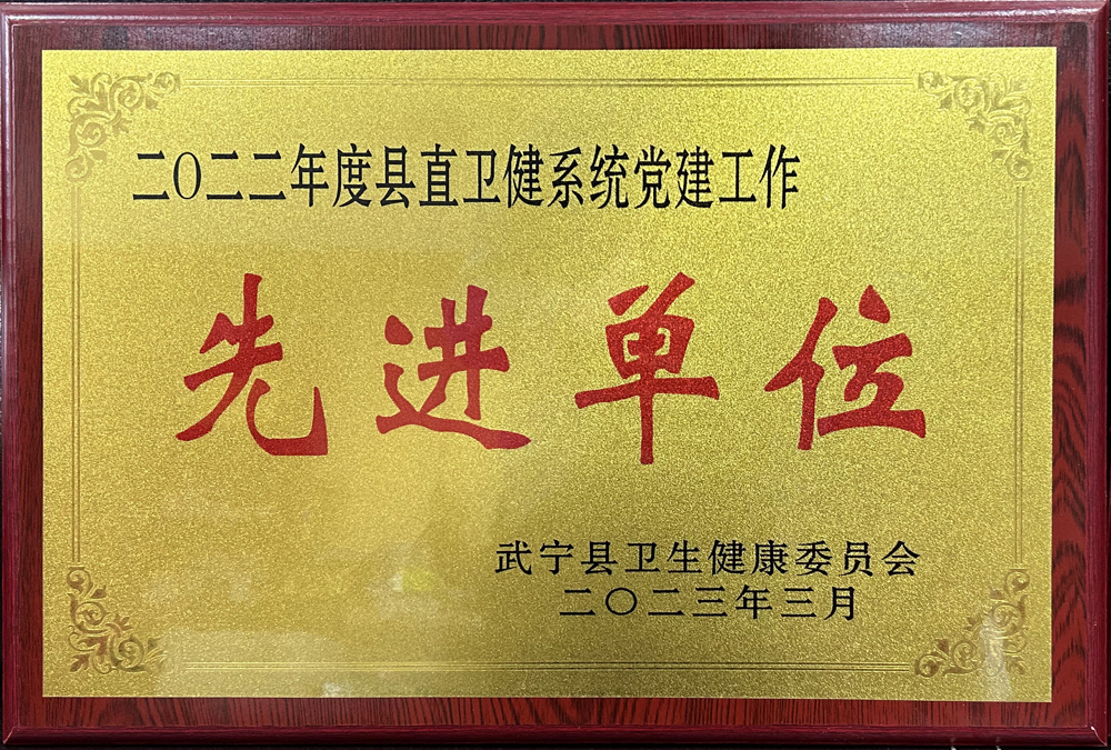 2022年度縣直衛健係統黨建工作先進單位