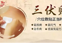 【冬病夏治正當時】武寧縣總醫院人民醫院院區2024年“三伏貼、督脈（mò）灸”火熱預約中！