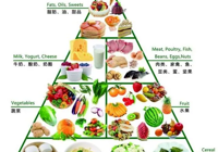 【牽（qiān）手營（yíng）養時代 共享健康未（wèi）來】武寧（níng）縣總醫院（yuàn）人民醫院院區（qū）開設營養（yǎng）（谘詢）門診