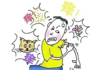 【關愛（ài）皮膚健康】武寧（níng）縣總醫院人民醫院院區皮膚科11月29日樟樹下社區義診預告