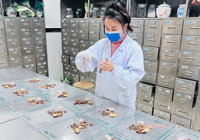 【中醫養生】武寧縣總醫院（yuàn）人民醫院院區中藥養生茶包已上線（xiàn），總有一款適合（hé）您！