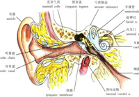 【新技術】武（wǔ）寧縣總醫院（yuàn）人民醫院院（yuàn）區神經內科開展視頻眼震圖儀技術