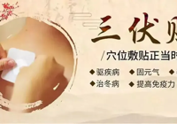 【冬病夏治正當時】武寧縣總（zǒng）醫院（yuàn）人民醫院院區2025年三伏貼、督脈灸、臍灸火熱預約中