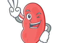 【健康科普（pǔ）】您的腎髒健（jiàn）康嗎？早檢查（chá），保健康